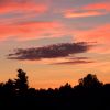 DSCN0227