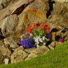 DSCN0257