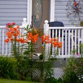 DSCN0277