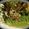 DSCN0282
