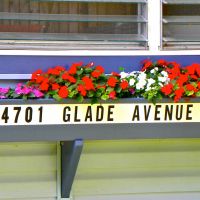 Flowers of The Point