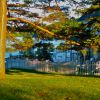 DSCN0301