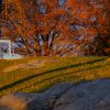 DSCN0517