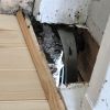 img 1931